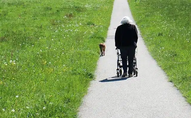 Un déambulateur sénior