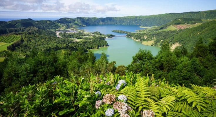 Merveilleux monde de la nature